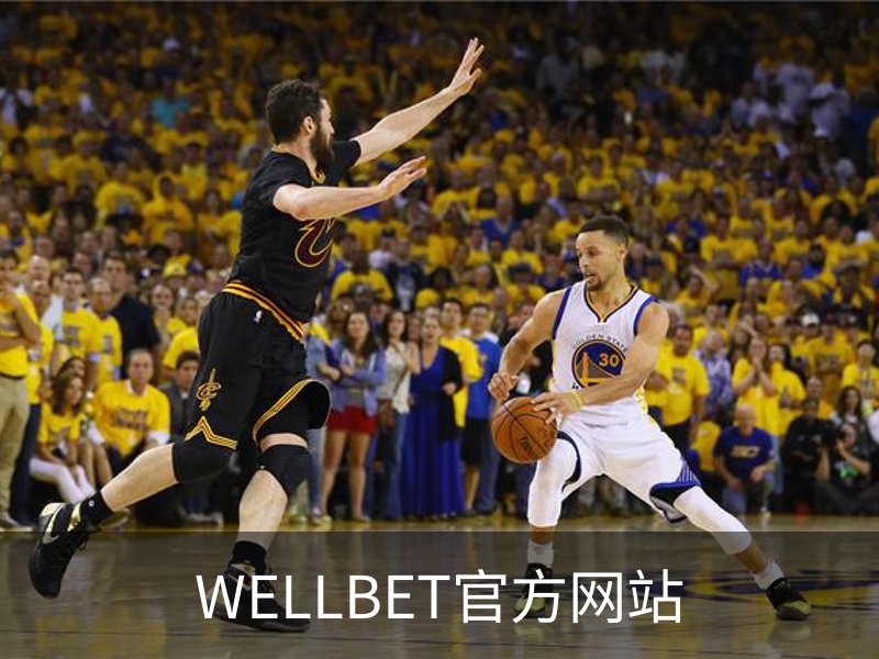 关于WELLBET官方网站